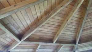 20160708_120327_resized_2-1024x576